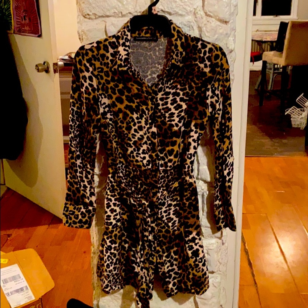 Abercrombie and Fitch Leopard print dress.